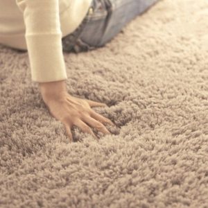 Plush-carpet-style